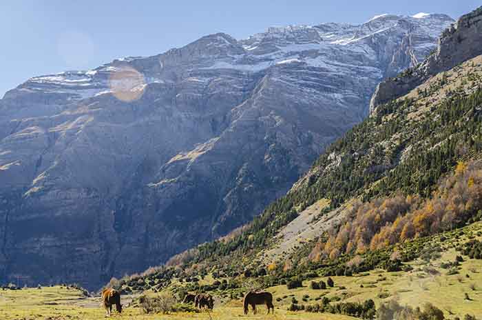 Huesca - valle de La Larri 06 - Llanos de La Larri.jpg